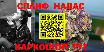 a pvp Гусев
