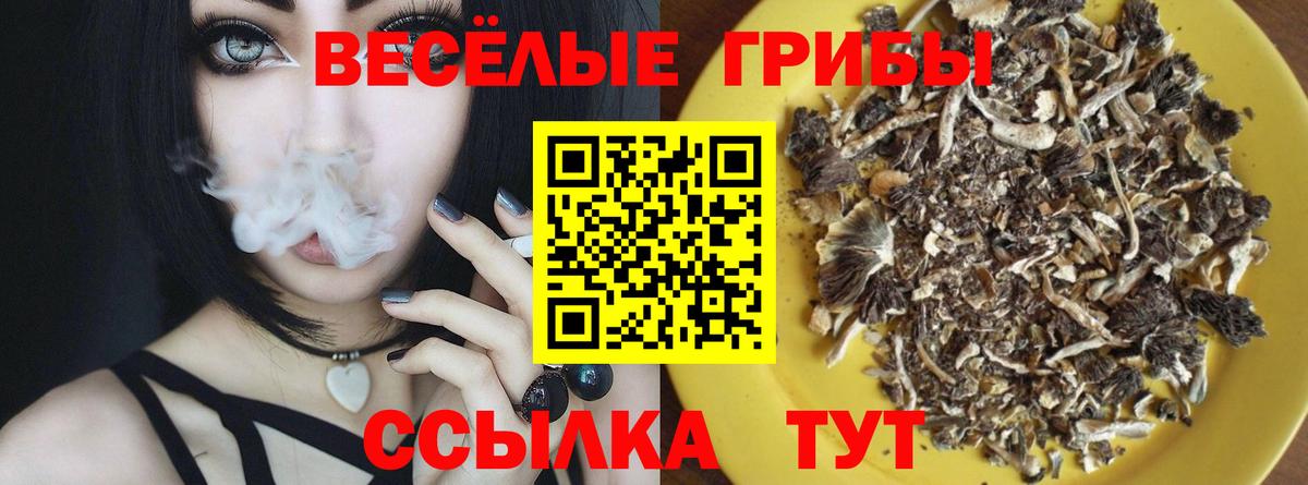 Псилоцибиновые грибы GOLDEN TEACHER Нальчик