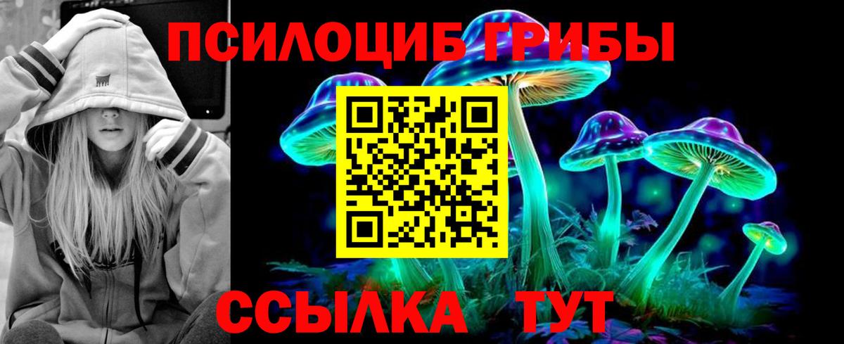 Галлюциногенные грибы Psilocybe  Псилоцибиновые грибы мухоморы  Нальчик  Вход с VPN 